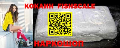 шишки Камышлов