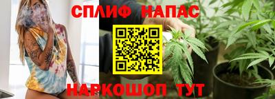 spice Кандалакша