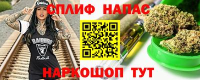 шишки Камышлов