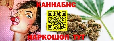 шишки Камышлов