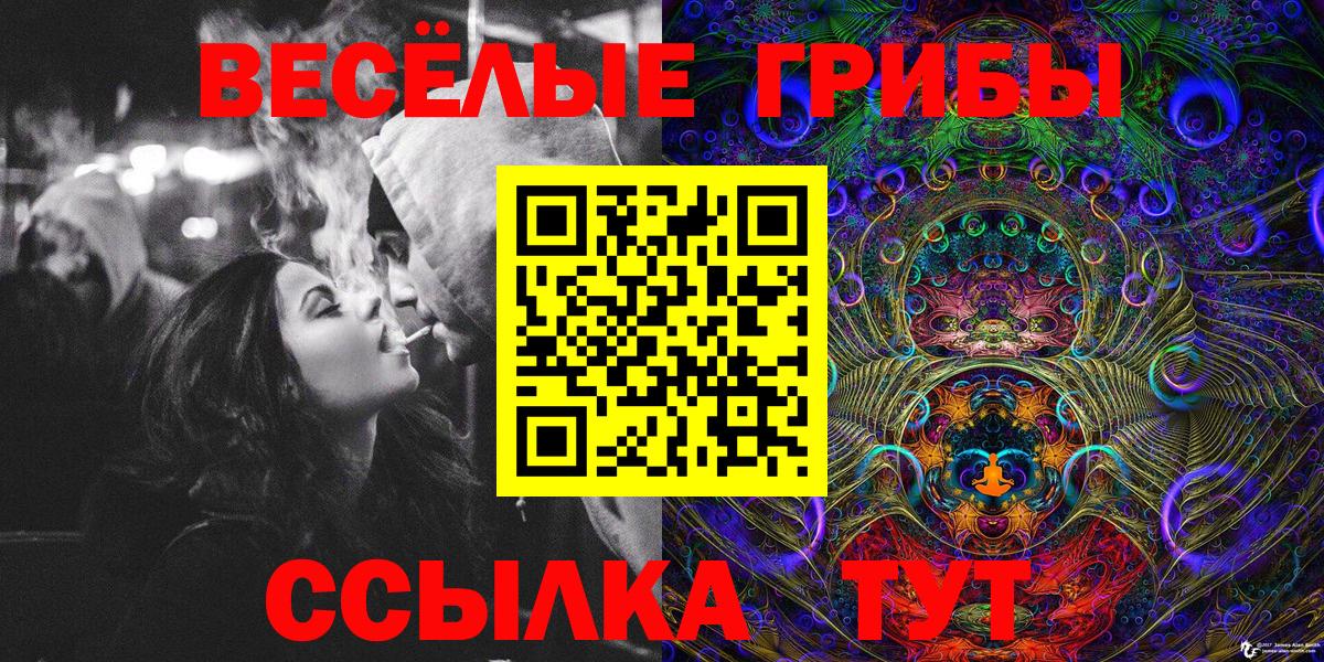 Галлюциногенные грибы Magic Shrooms  Вход с VPN  что такое   Ессентуки 